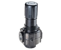 Excelon® Series 72 Relieving Regulator 3/8BSPP