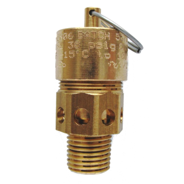 Dereve Series 6000 Safety Relief Valve 